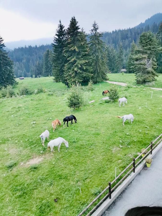 Deer Lake 521 At Oak Residence Hotel & Relax Smolyan Exterior foto